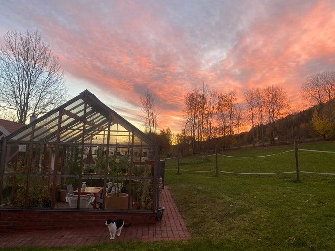 Oktober. Prosjekt selvforsynt.