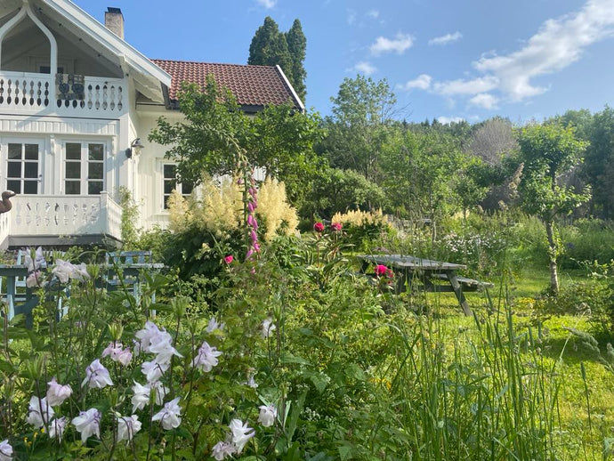 Juni - Prosjekt selvforsynt